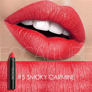 Matte Lipstick 19 Colors Waterproof Matte Lipsticks Soft Texture Lip Stick Cosmetic Sext Red Nude Lip Makeup Batom