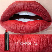 Matte Lipstick 19 Colors Waterproof Matte Lipsticks Soft Texture Lip Stick Cosmetic Sext Red Nude Lip Makeup Batom