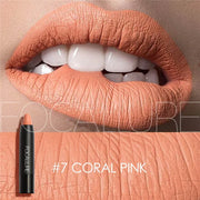 Matte Lipstick 19 Colors Waterproof Matte Lipsticks Soft Texture Lip Stick Cosmetic Sext Red Nude Lip Makeup Batom